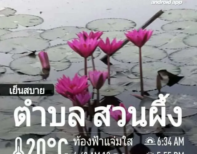 Suan Nopparat