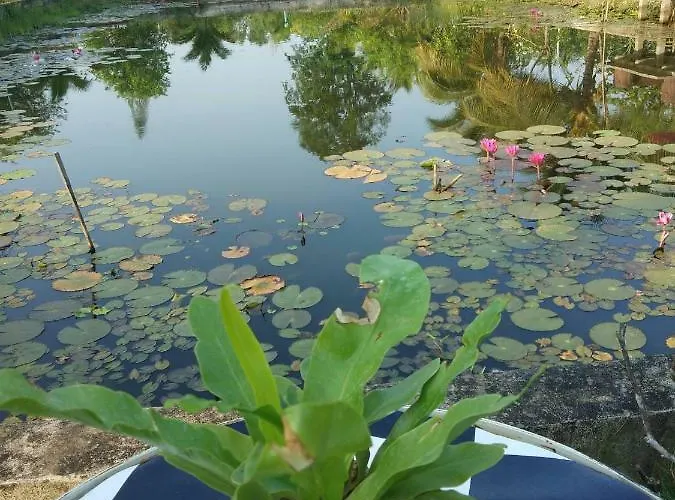 Suan Nopparat บ้านพัก สวนผึ้ง