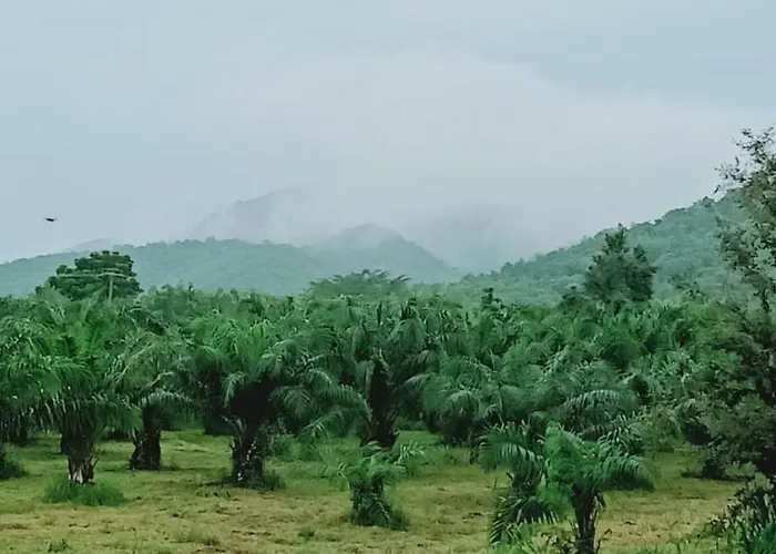 Suan Nopparat