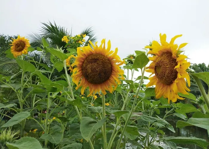 Suan Nopparat บ้านพัก สวนผึ้ง