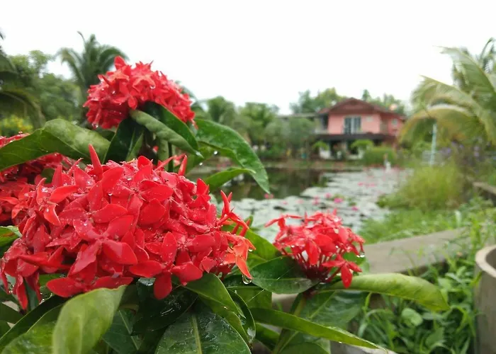Suan Nopparat สวนผึ้ง